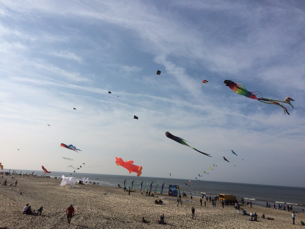 De Koog: Wind-Festival