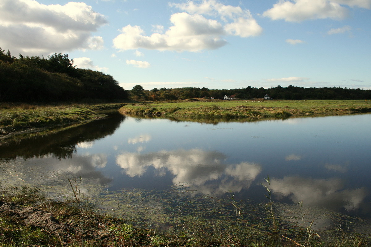 Ferienwohnung auf Texel