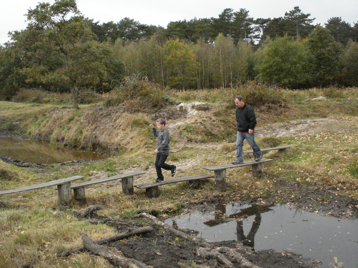 Ferienwohnung auf Texel