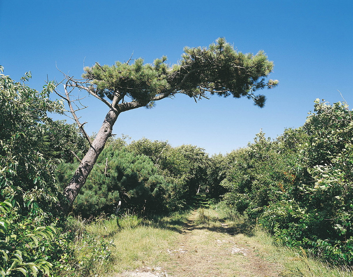 Ferienwohnung auf Texel