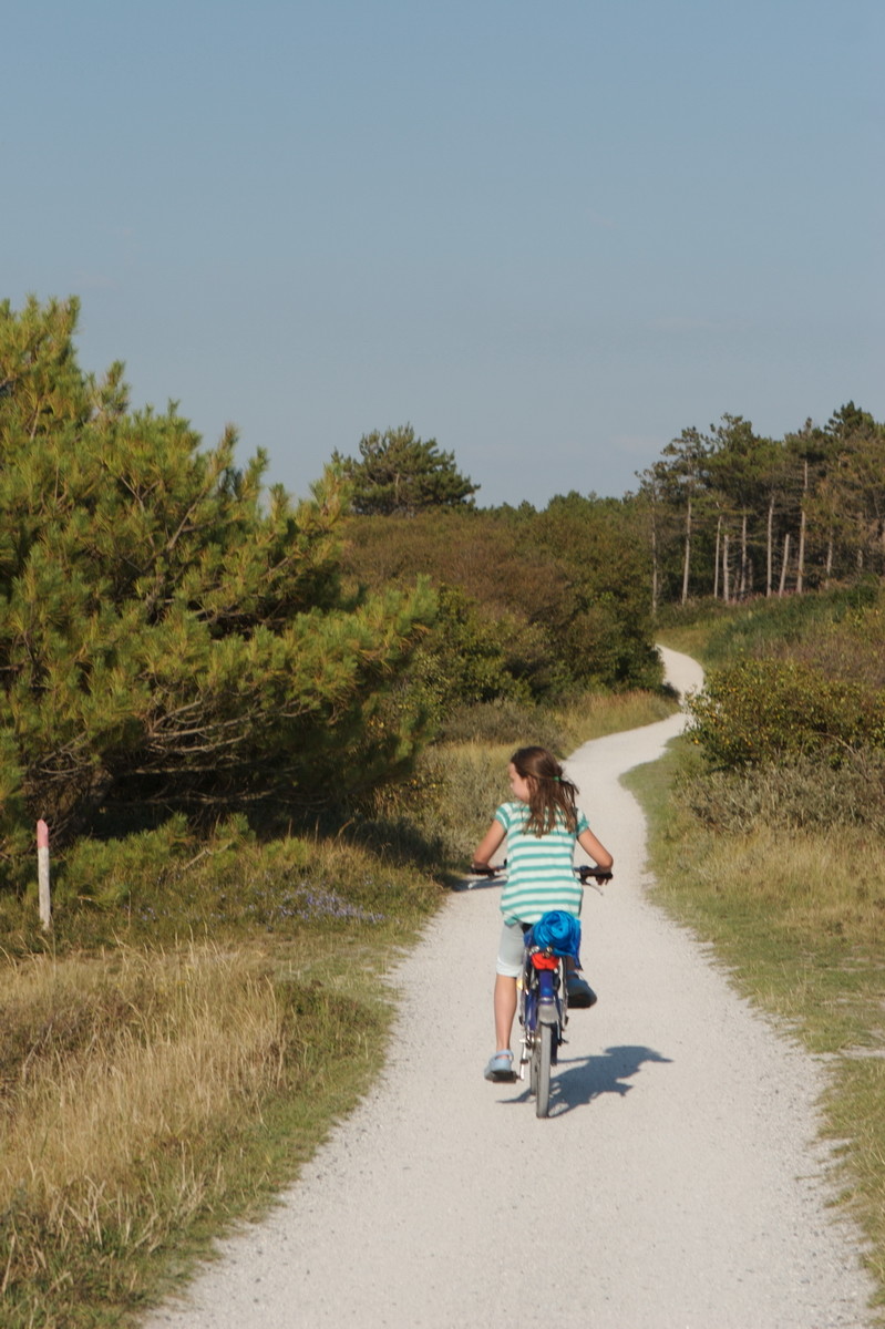 Ferienwohnung auf Texel