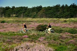 Radfahrer in der Heide (Foto: Marike Oostra)
