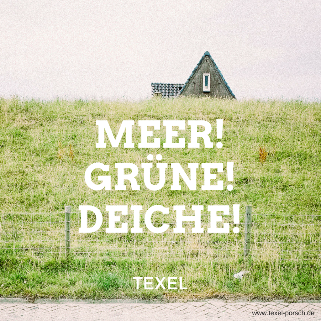 Texel: Meer Grüne Deiche