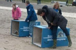 Ferienwohnung auf Texel