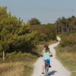 Ferienwohnung auf Texel