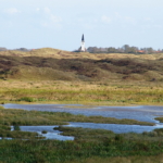 Ferienwohnung auf Texel