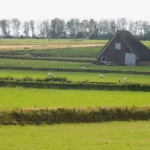 Ferienwohnung auf Texel