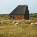 Ferienwohnung auf Texel