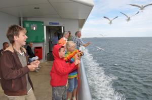 Ferienwohnung auf Texel