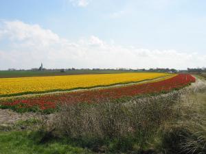 Ferienwohnung auf Texel