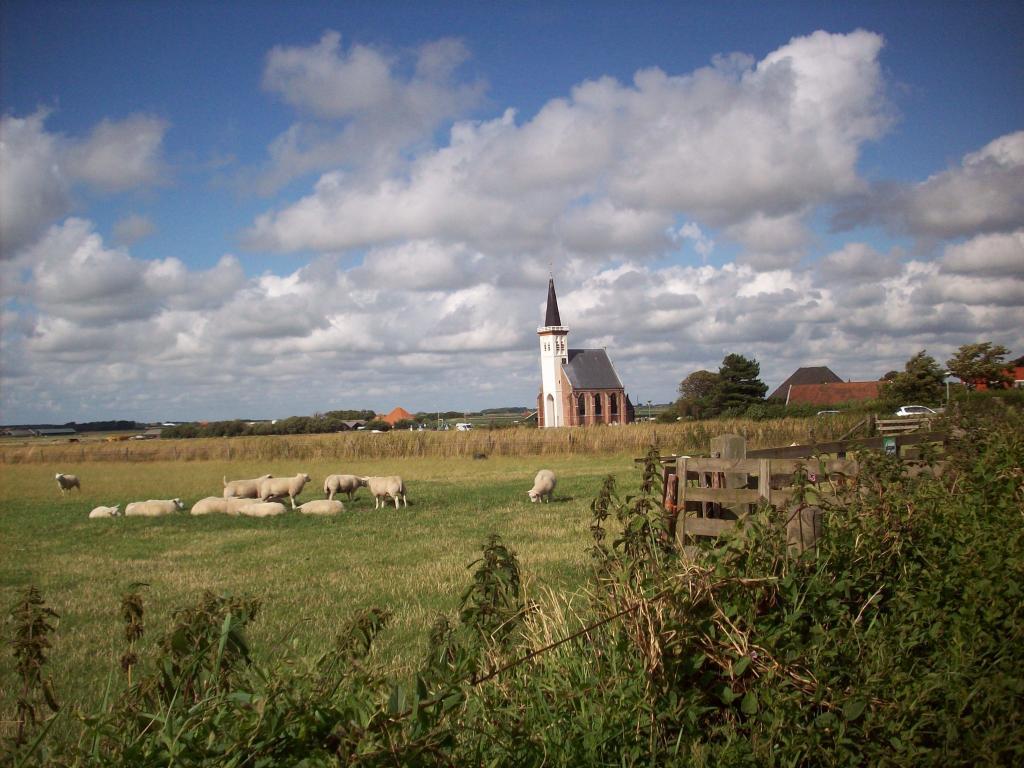 Ferienwohnung auf Texel