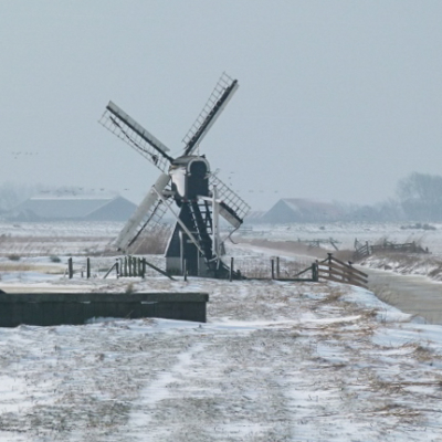 Ferienwohnung auf Texel