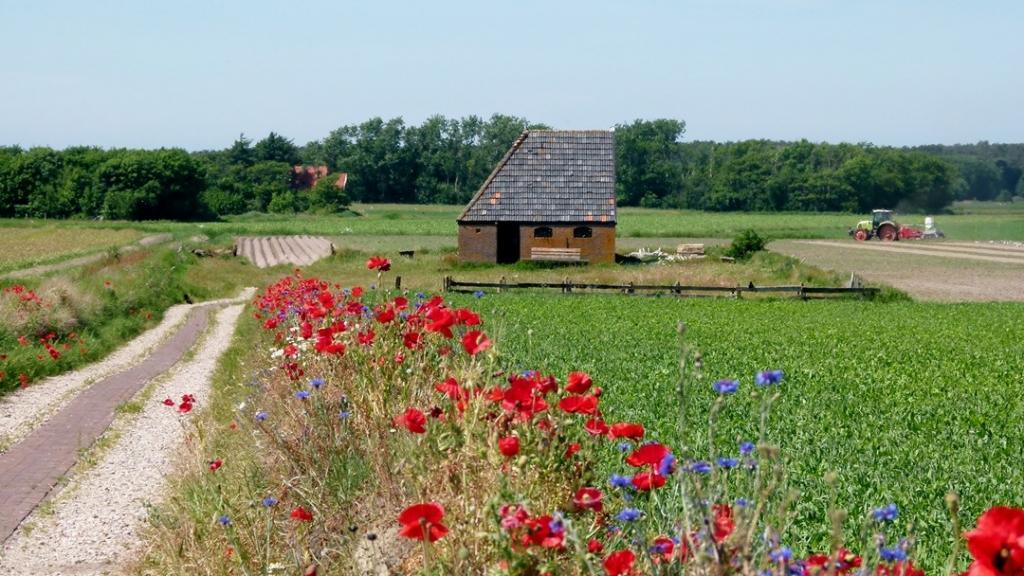 Ferienwohnung auf Texel