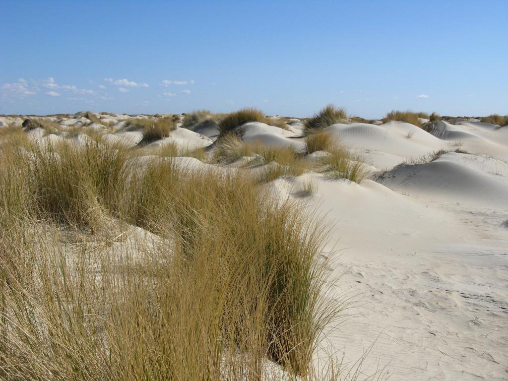 Ferienwohnung auf Texel