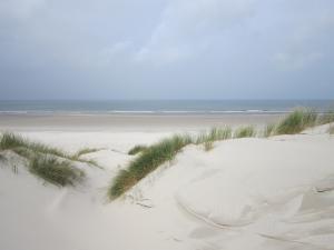 Ferienwohnung auf Texel