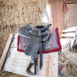 Ferienwohnung auf Texel