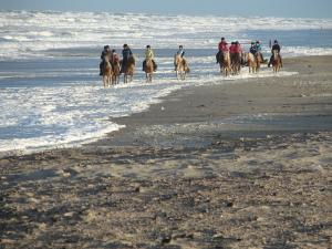 Texel: Ferienwohnungen von privat Ferienwohnung auf Texel