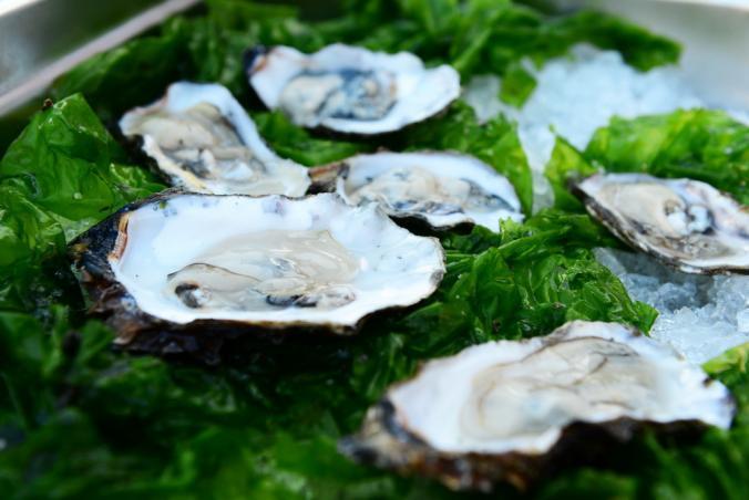 Aus heimischen Gefilden: Austern von Texel