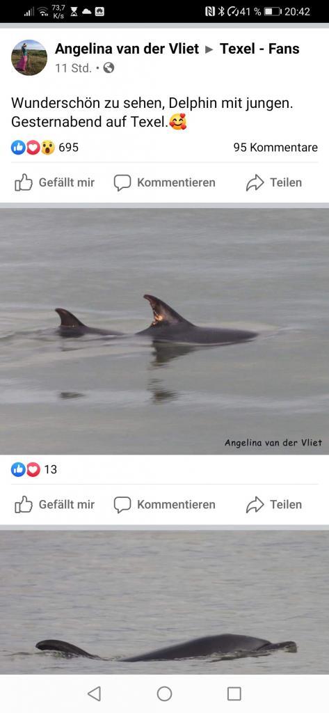 Texel: Ferienwohnungen von privat Ferienwohnung auf Texel