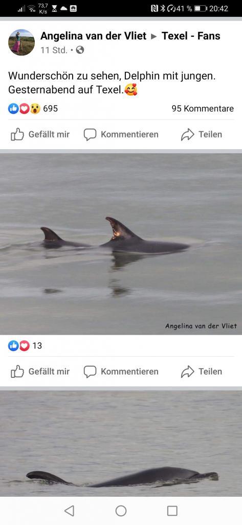 Ferienwohnung auf Texel