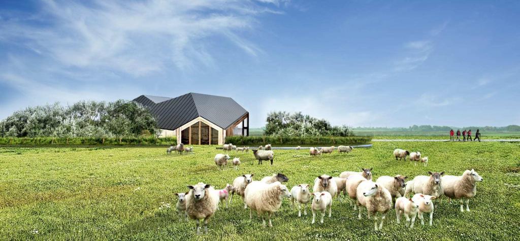 Texel: Ferienwohnungen von privat Ferienwohnung auf Texel