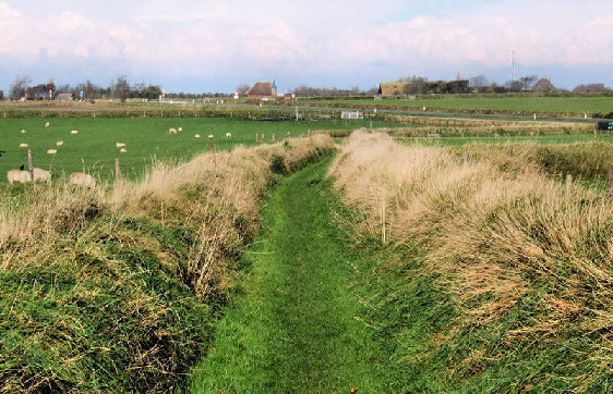 Ferienwohnung auf Texel