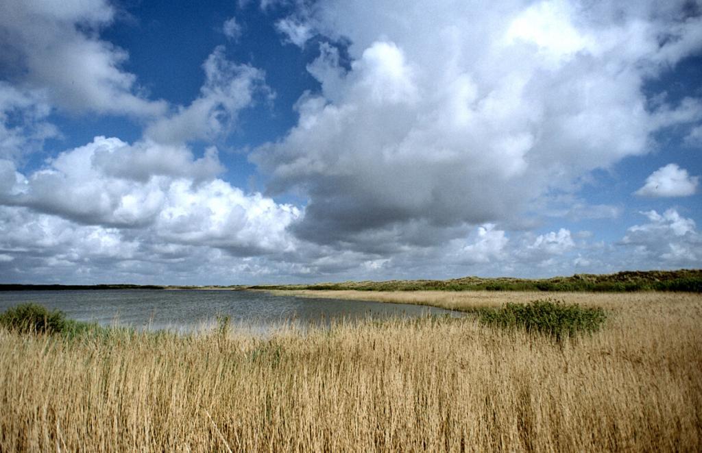 Ferienwohnung auf Texel