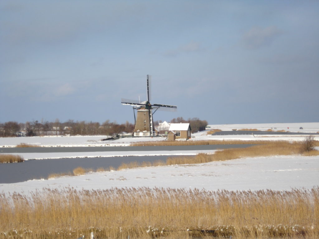 Ferienwohnung auf Texel