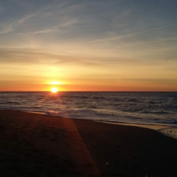 Ferienwohnung auf Texel