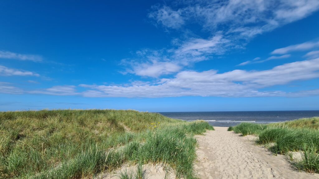 Ferienwohnung auf Texel