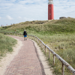Ferienwohnung auf Texel
